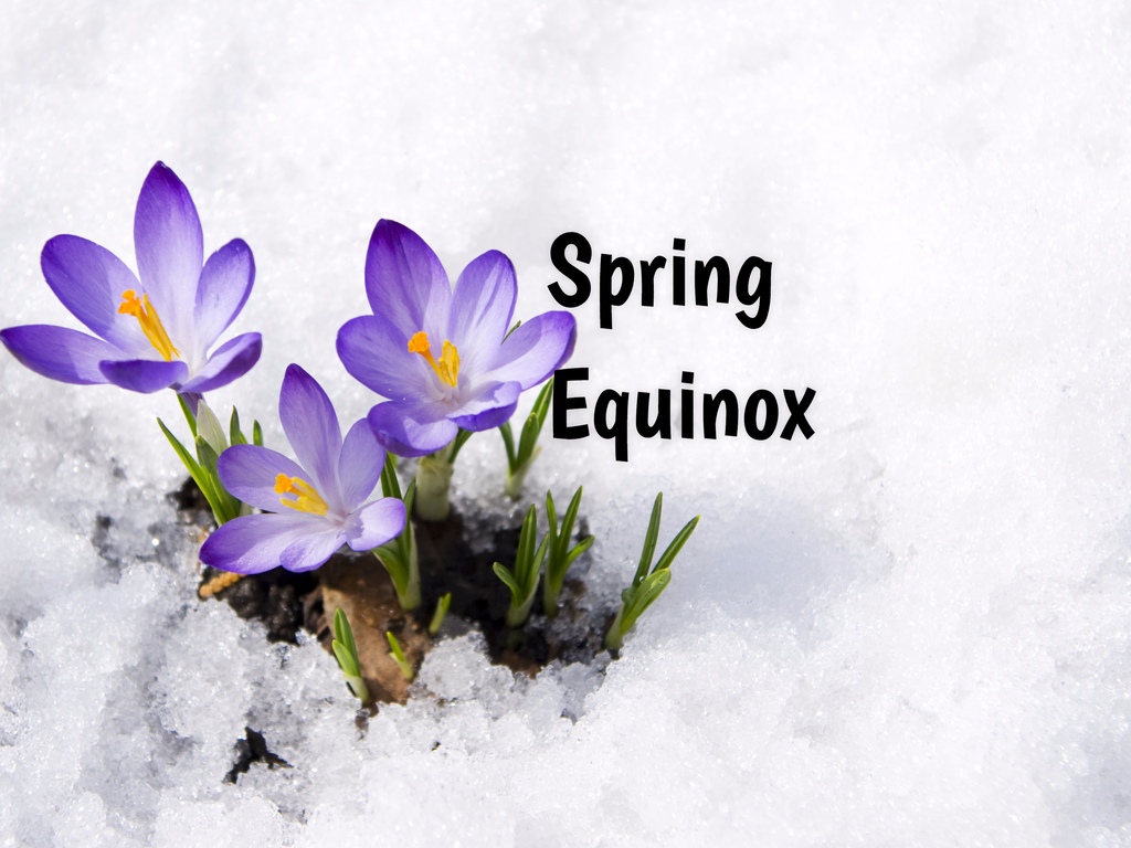 Enjoy The Spring Equinox My Friends ESP Lab
